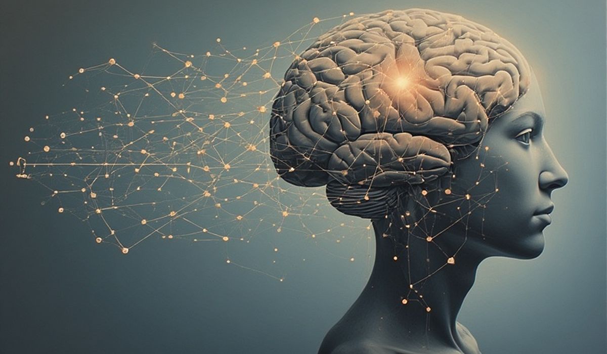 An abstract illustration of the brain with gentle network-like pathways extending outward, symbolising stress as a regulatory signal.