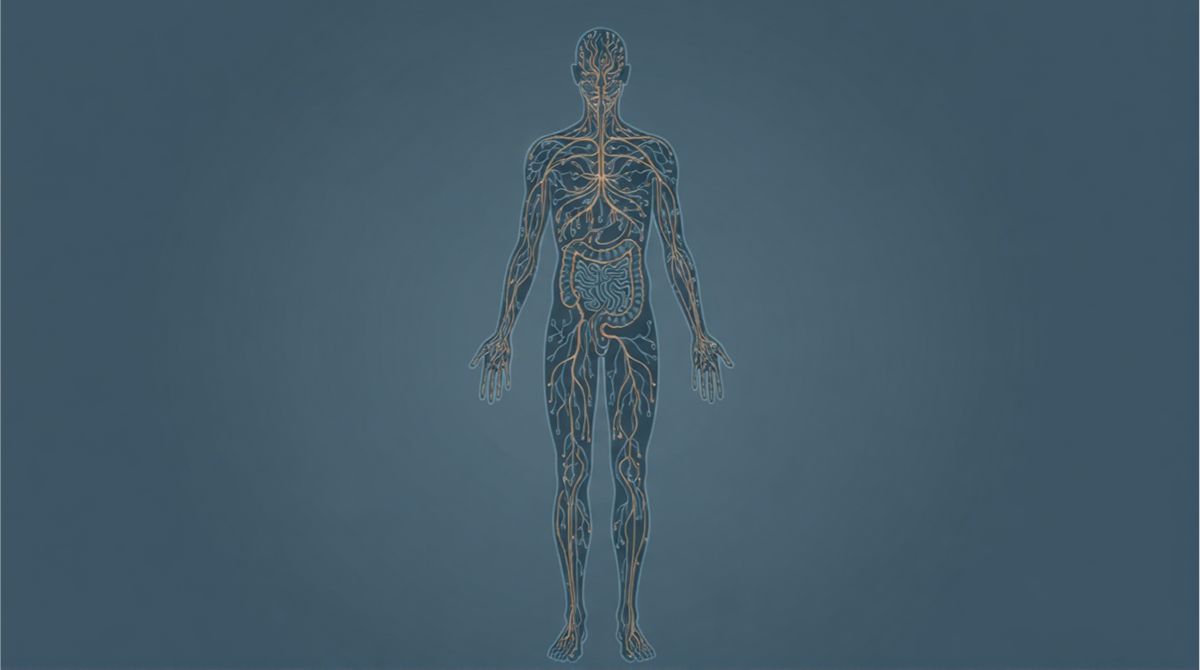 Chronic Inflammation Is Not a Disease. It Is a System Failure